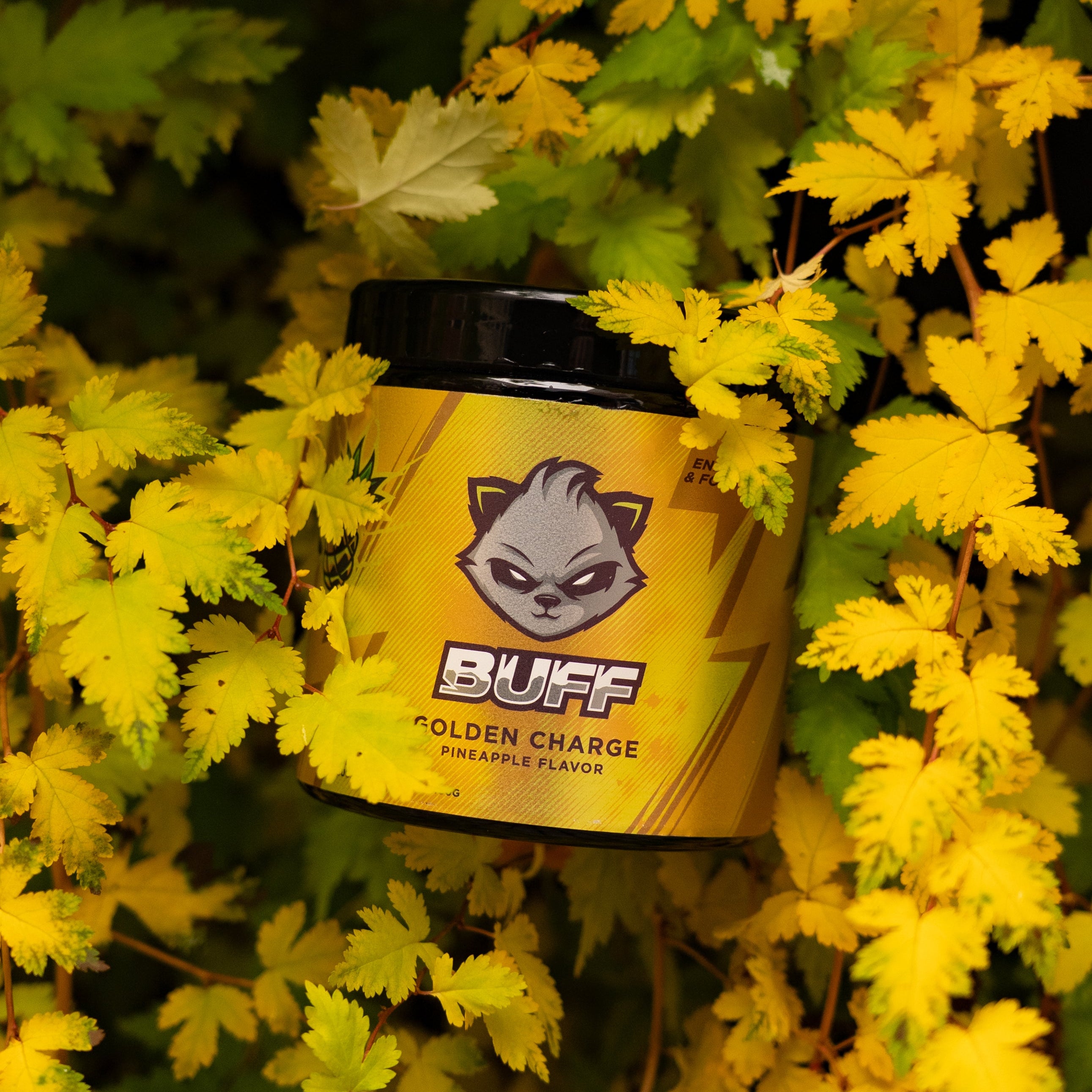 Jar of 'BUFF' Golden Charge on a bed of yellow leaves